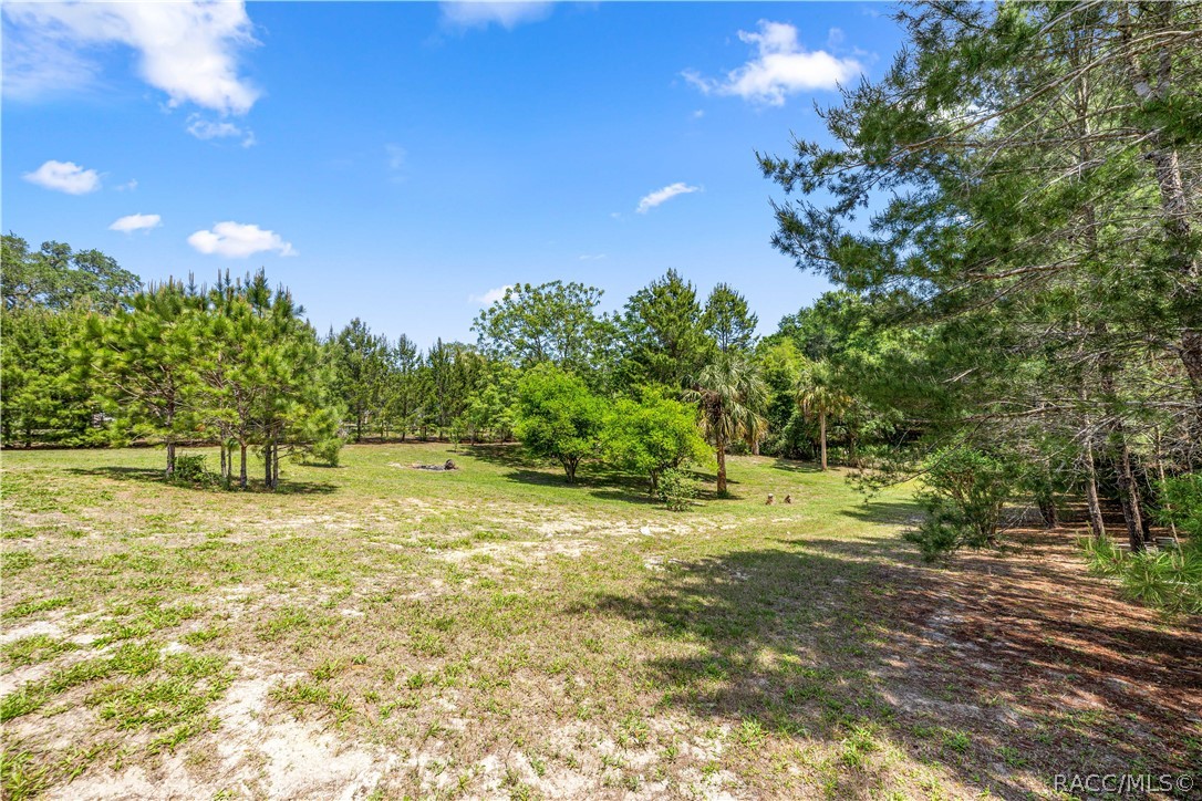 10299 N War Horse Point
