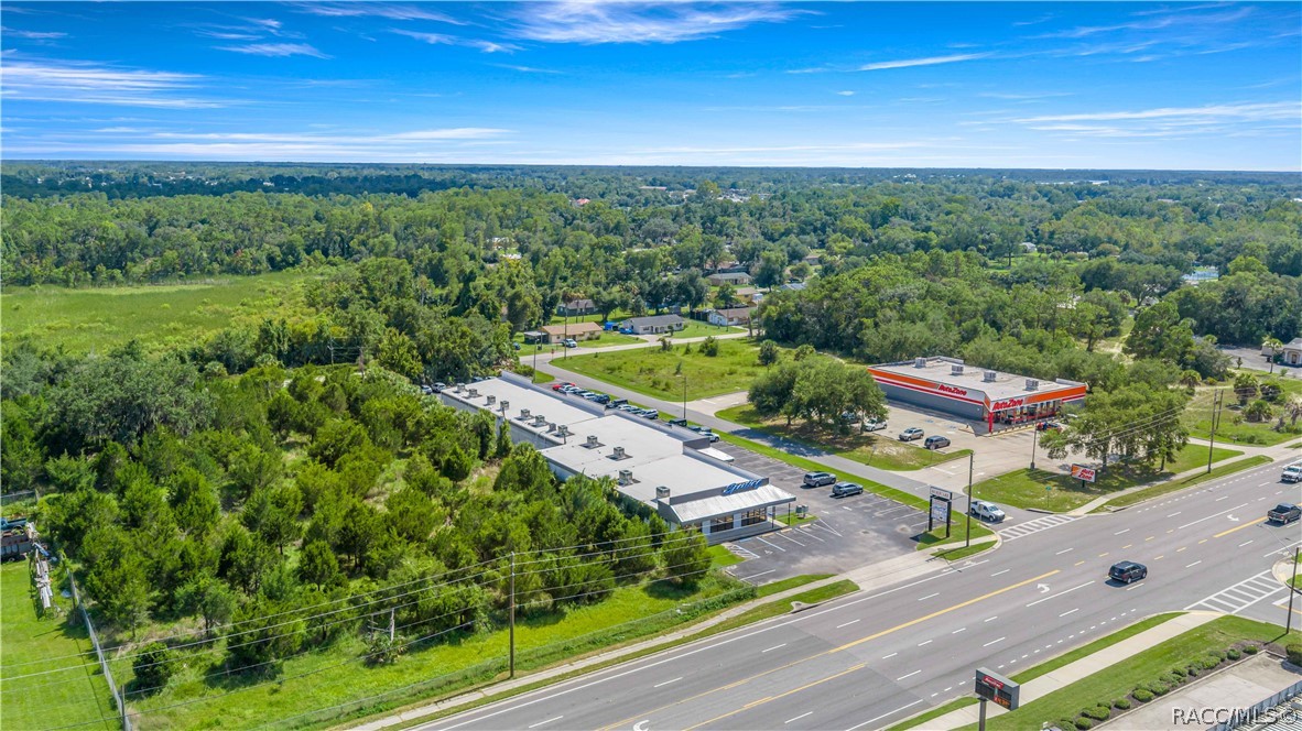 Commercial property and wooded lot beside a multilane road, with Ace Hardware nearby.