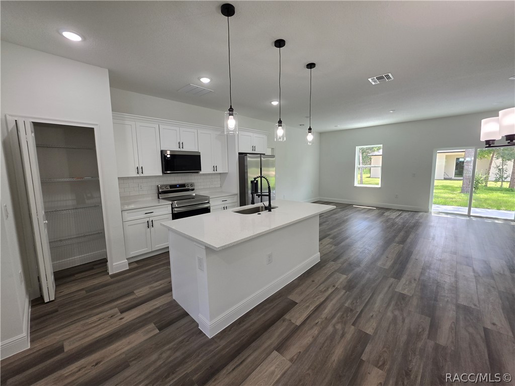 Vacant kitchen with white cabinets, stainless steel appliances, a large island, and plank flooring.