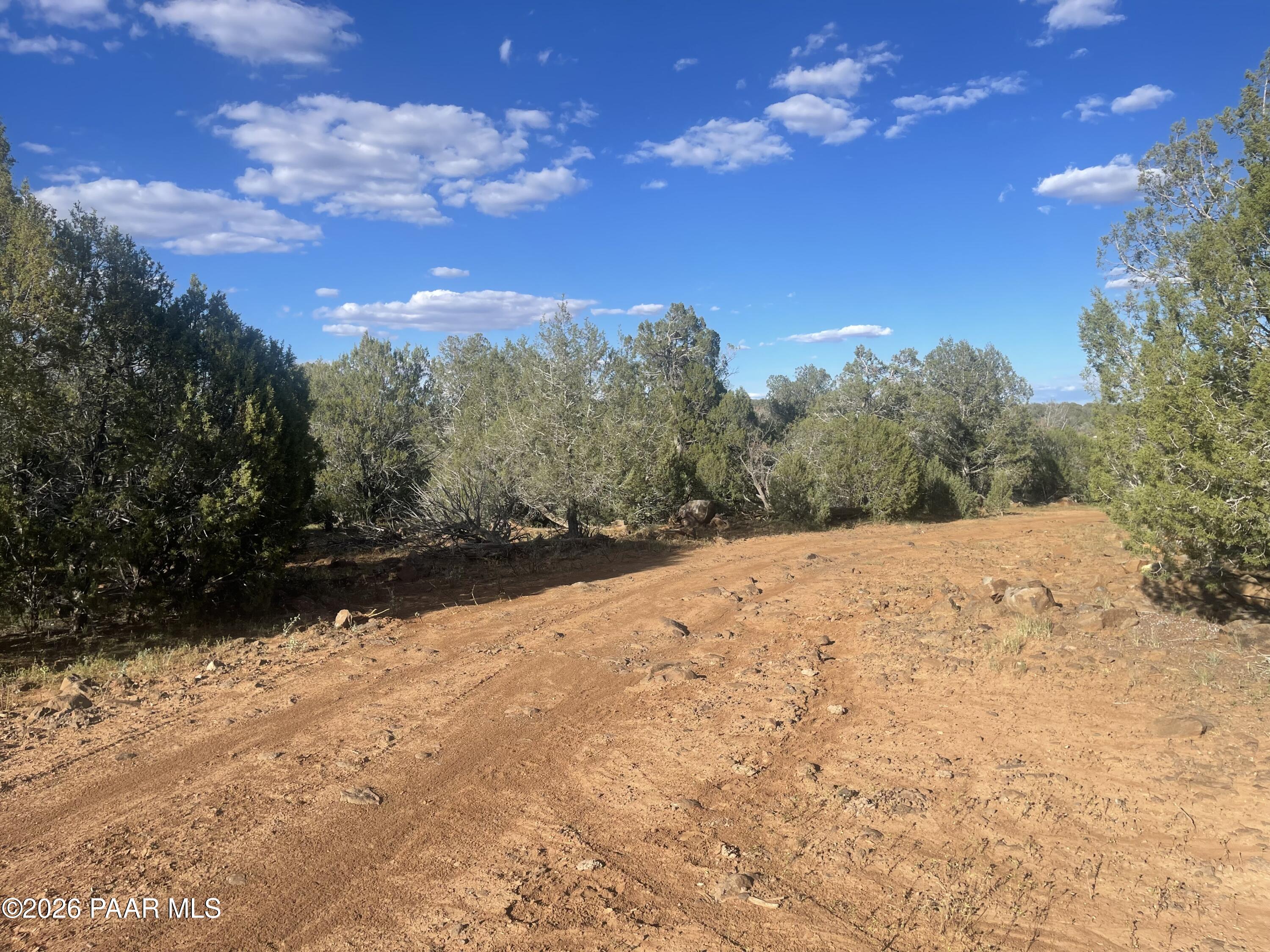 Vacant wooded land with a rocky dirt road winding through juniper trees.