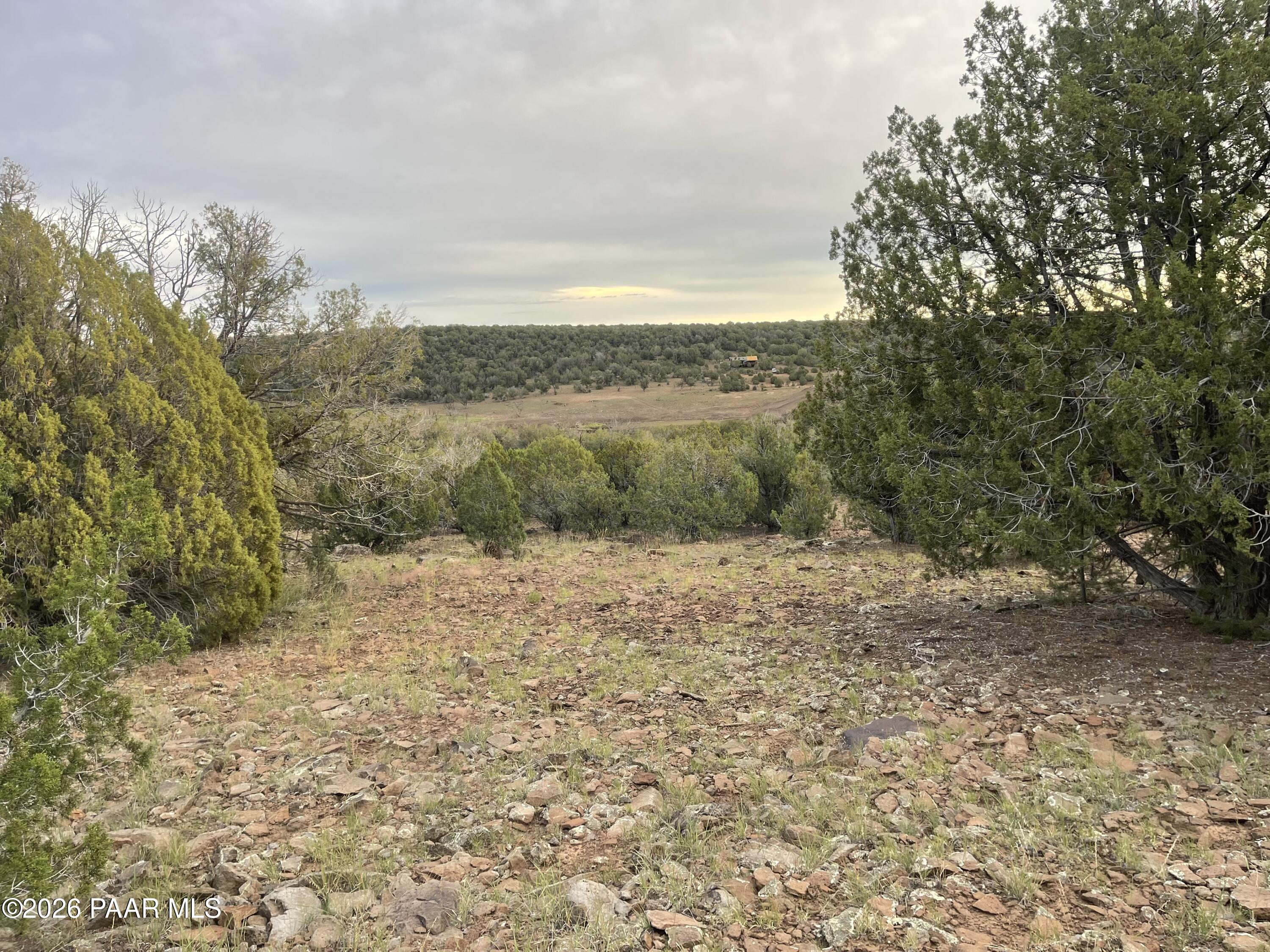 Rocky hillside lot framed by juniper trees, overlooking a wooded valley and open clearing.