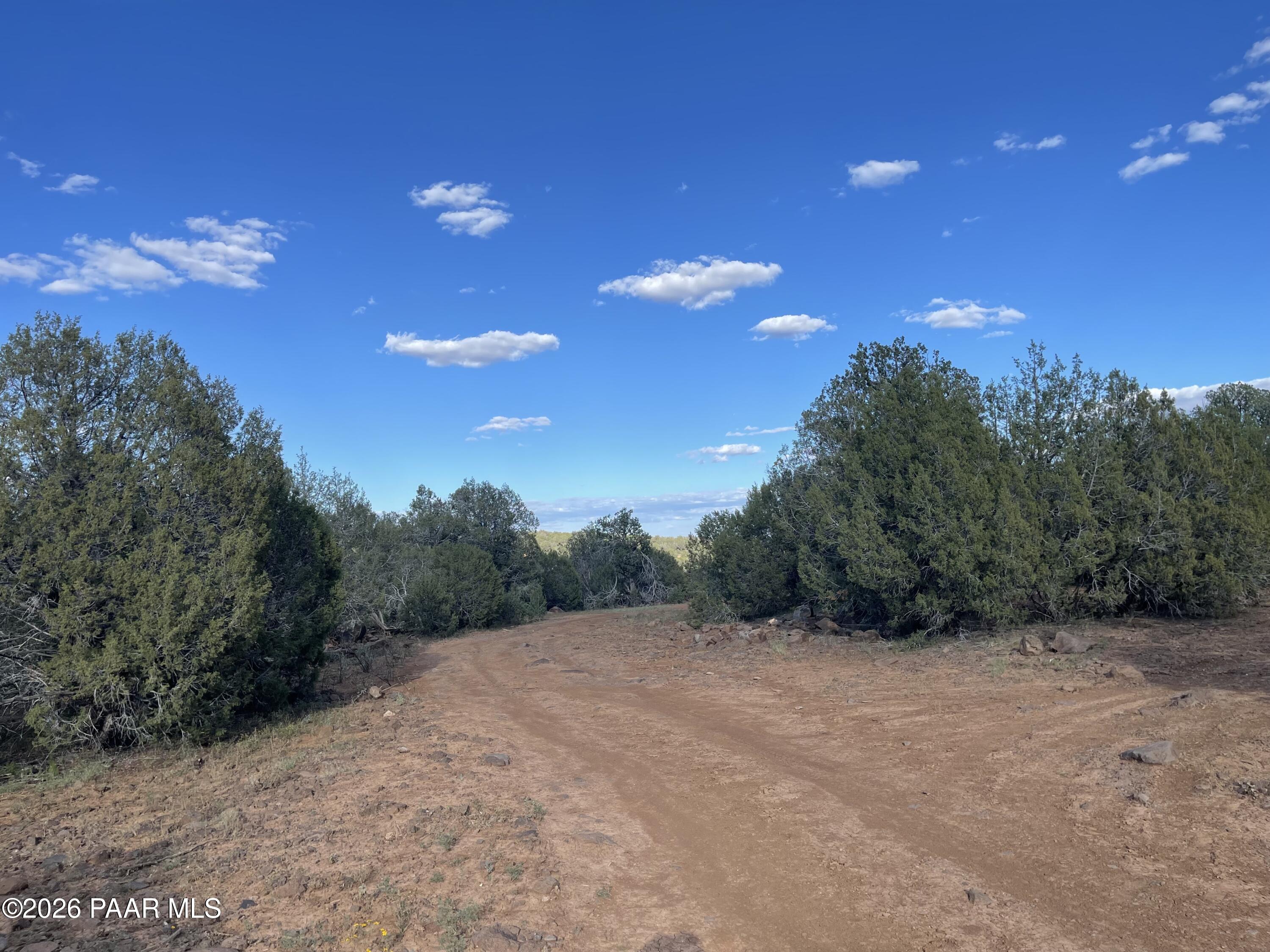 Vacant wooded lot with a rocky dirt clearing bordered by juniper trees.