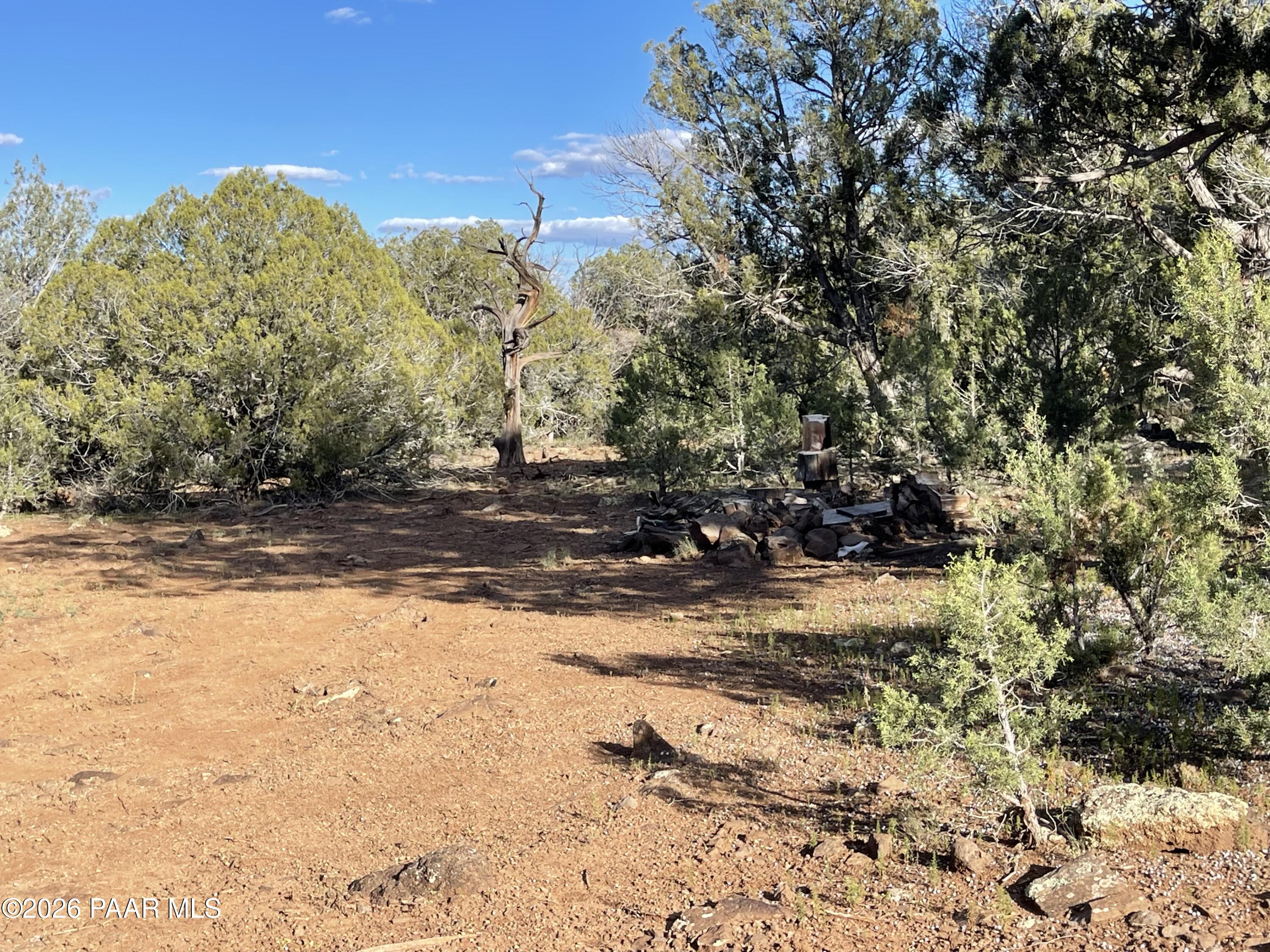 Cleared dirt area on a wooded lot, with juniper trees, scattered rocks, and a small rock-ringed area.