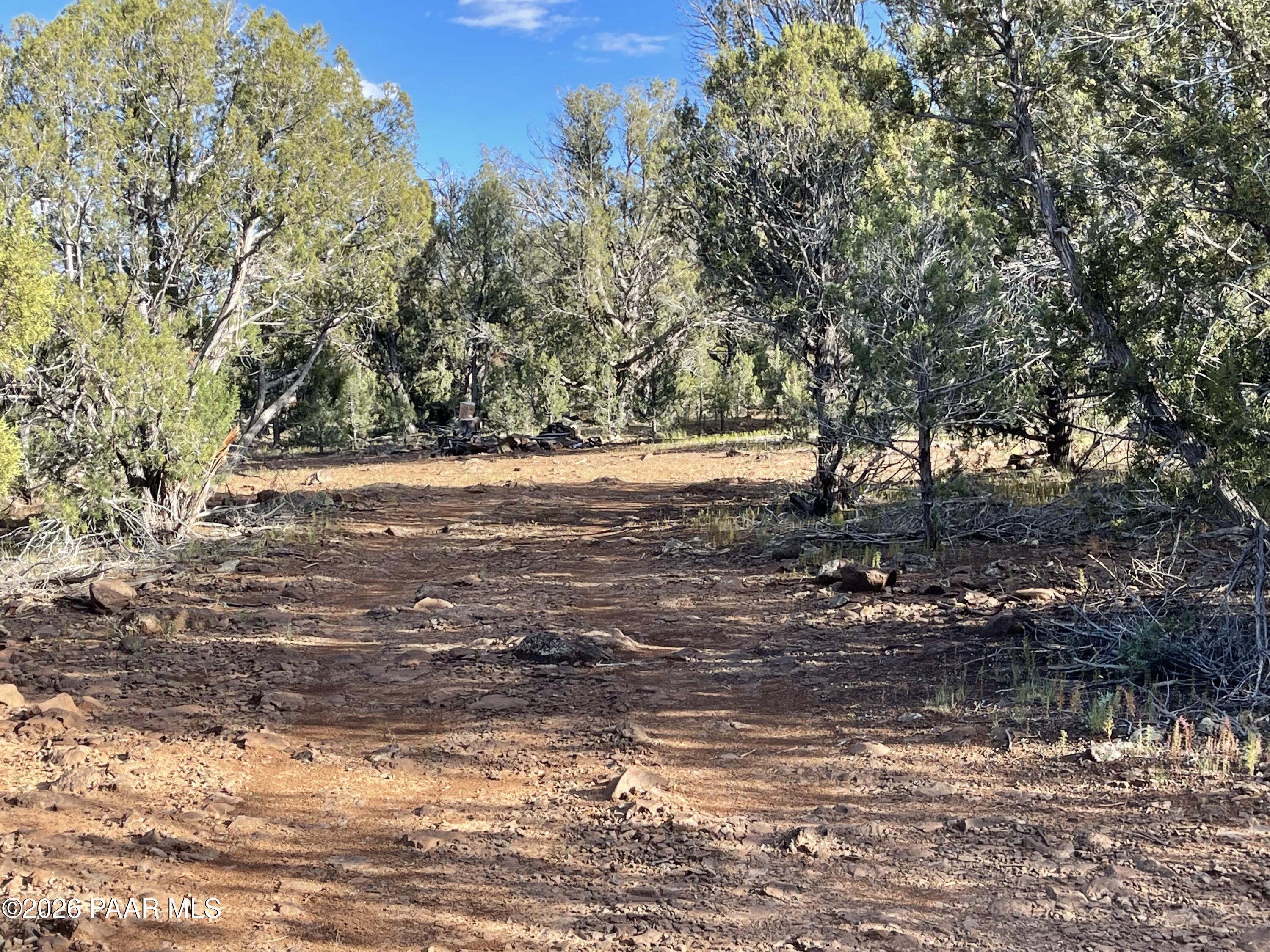 Rocky dirt clearing on a wooded vacant lot, surrounded by mature trees.