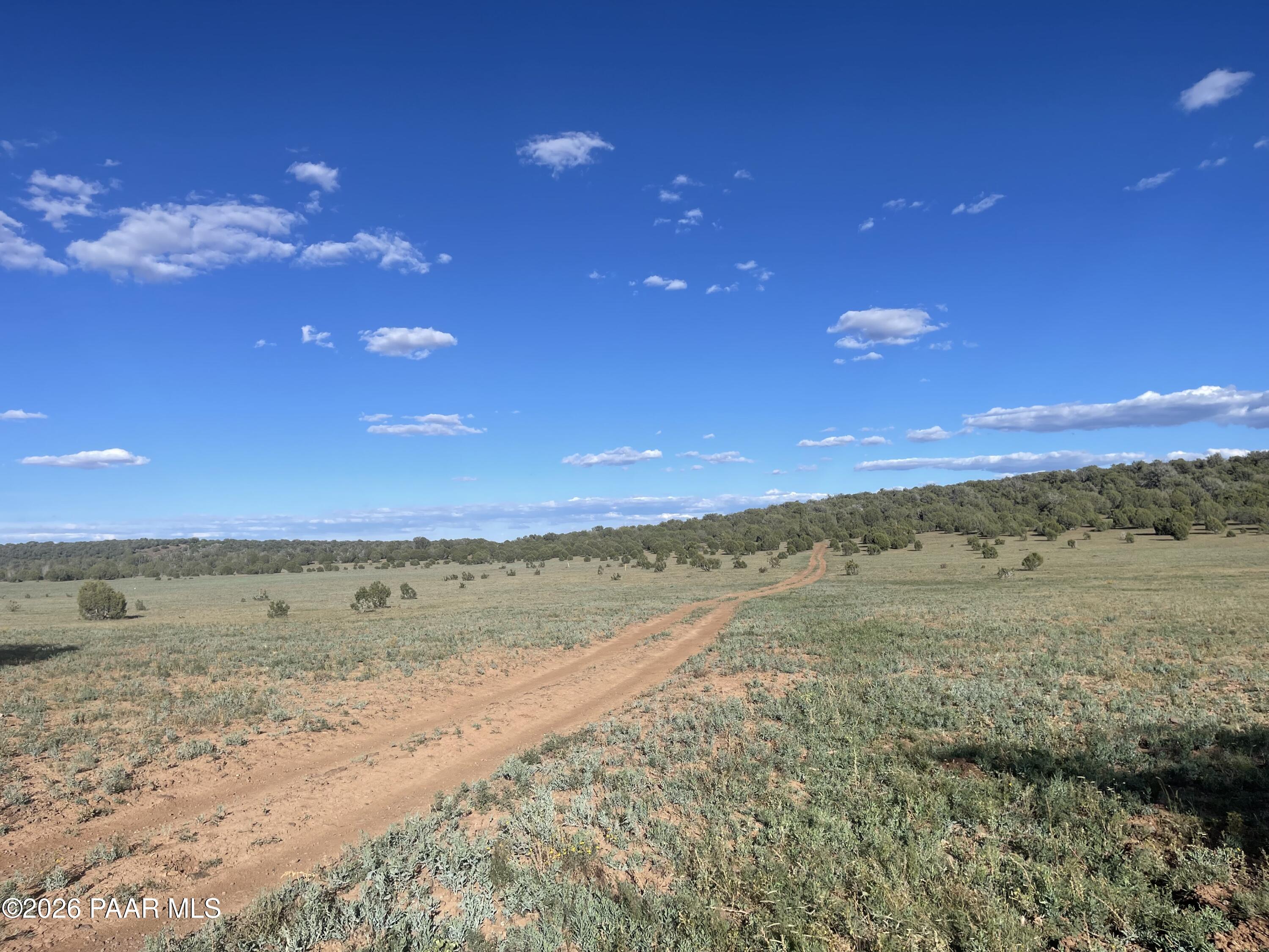 Open rural land with a winding dirt track, scattered shrubs, and wooded hills.