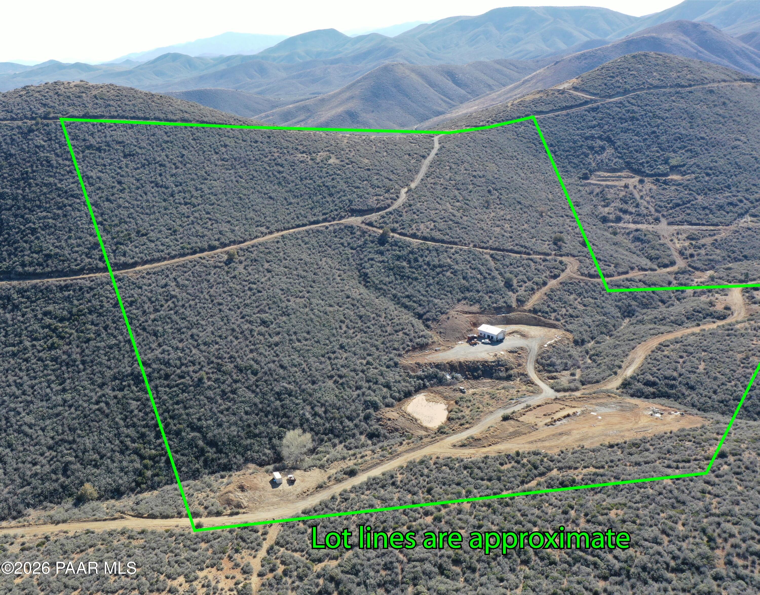 000 Miners Pick Lot 20