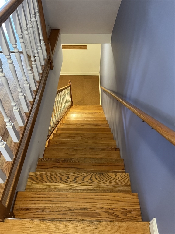 671 Tremont Street # 1