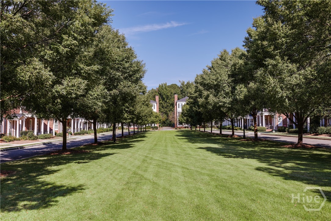 100 Ansonborough Lane 303