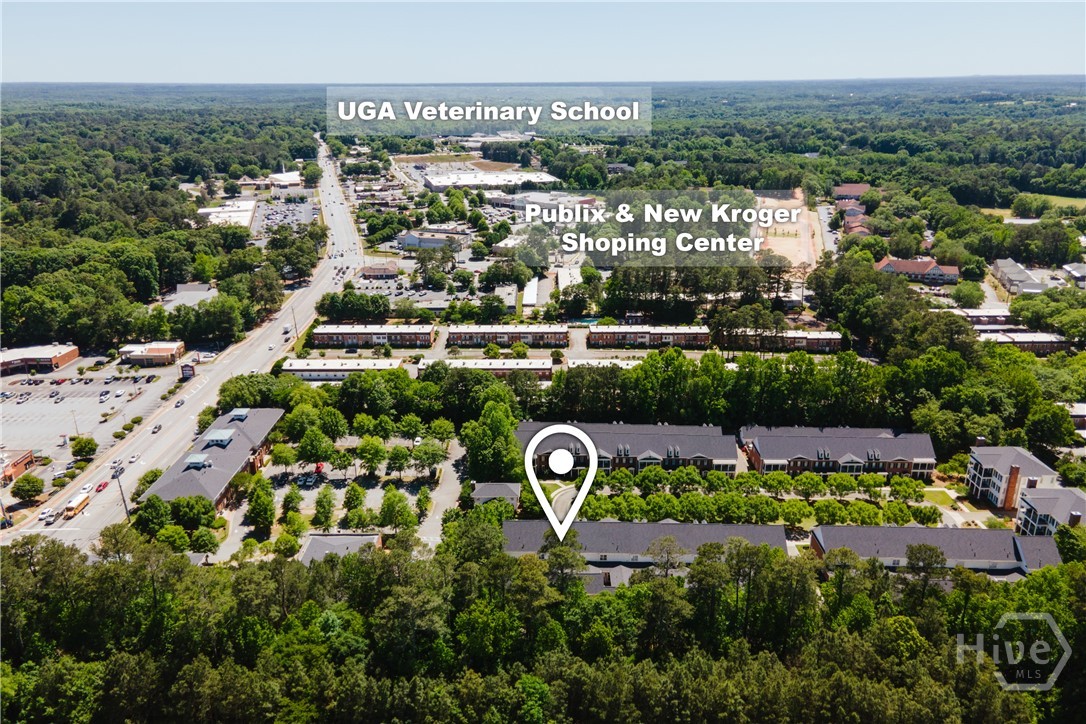100 Ansonborough Lane 407