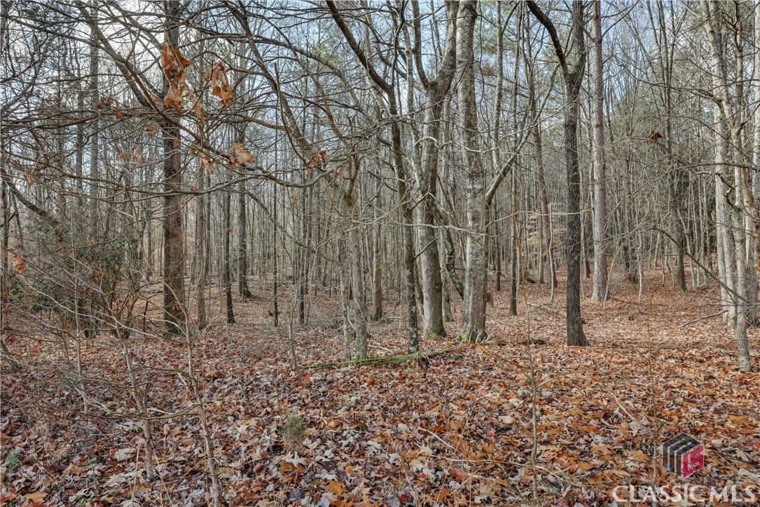 360 Lakeland Drive
