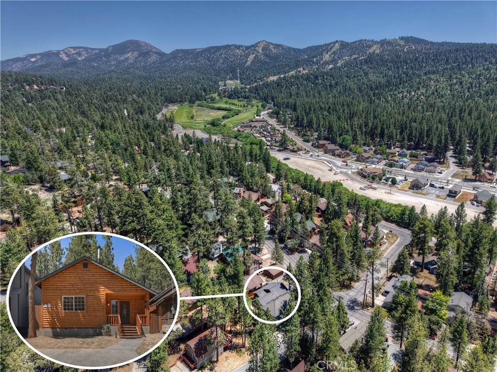 42732 Cougar Road