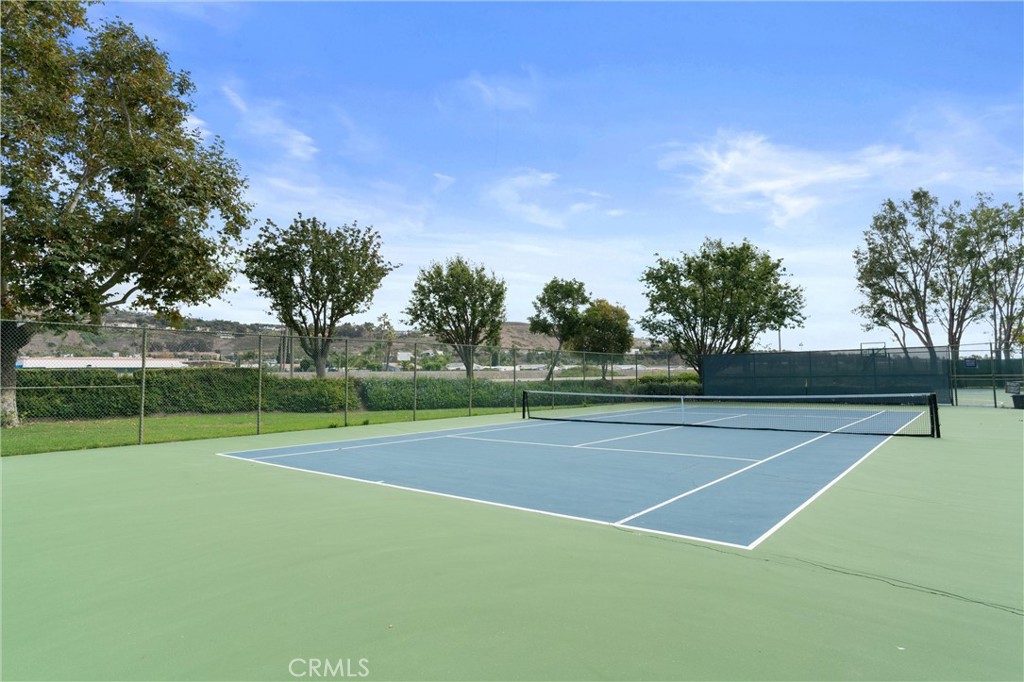 33092 Halfmoon Court