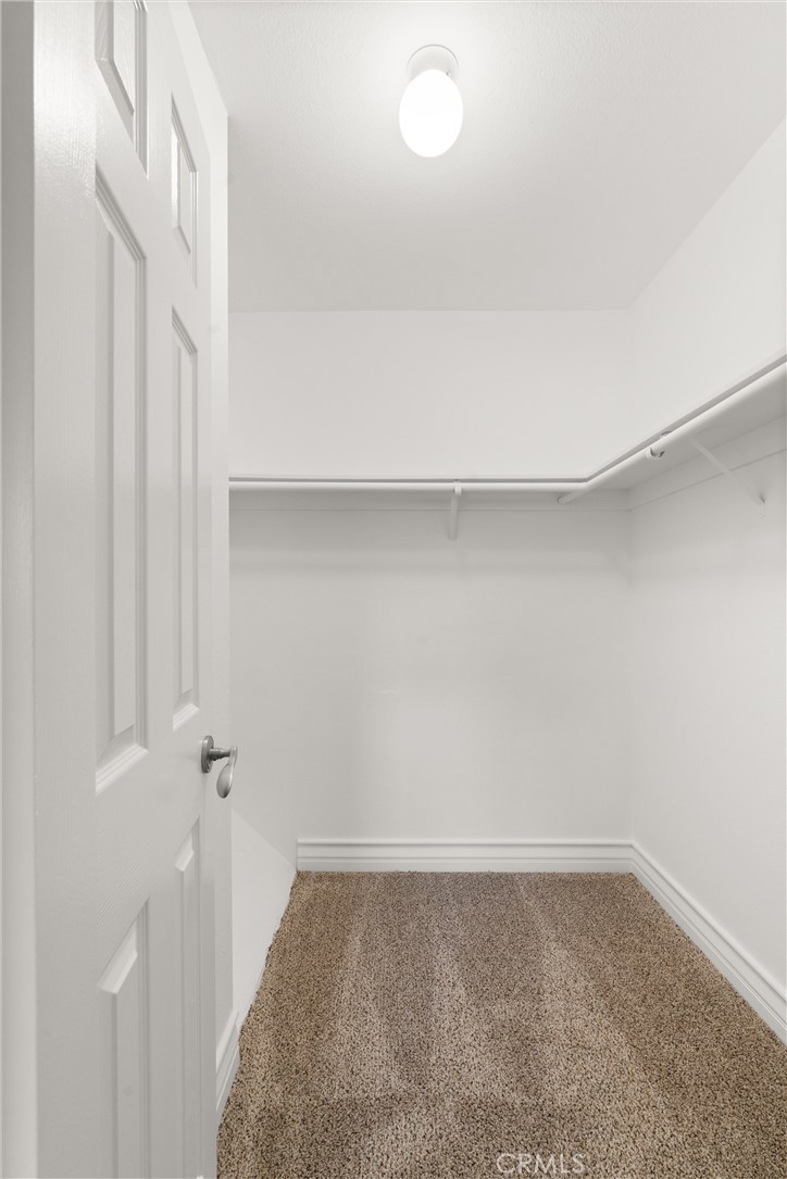 33092 Halfmoon Court