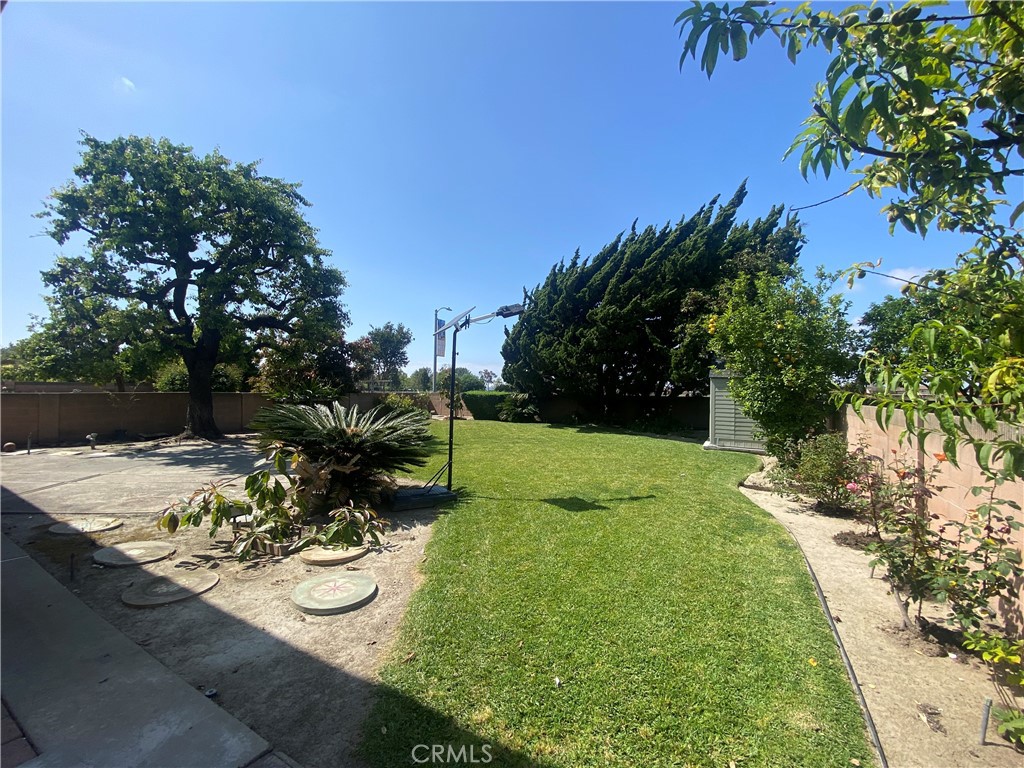 11095 Begonia Avenue