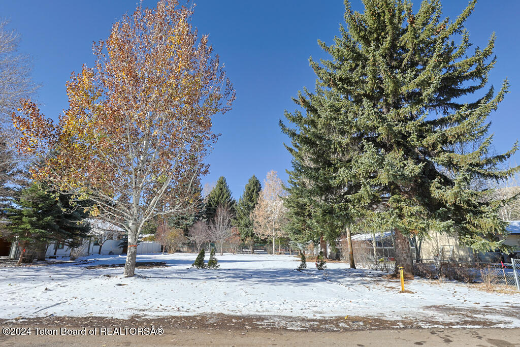 175 N GROS VENTRE Street