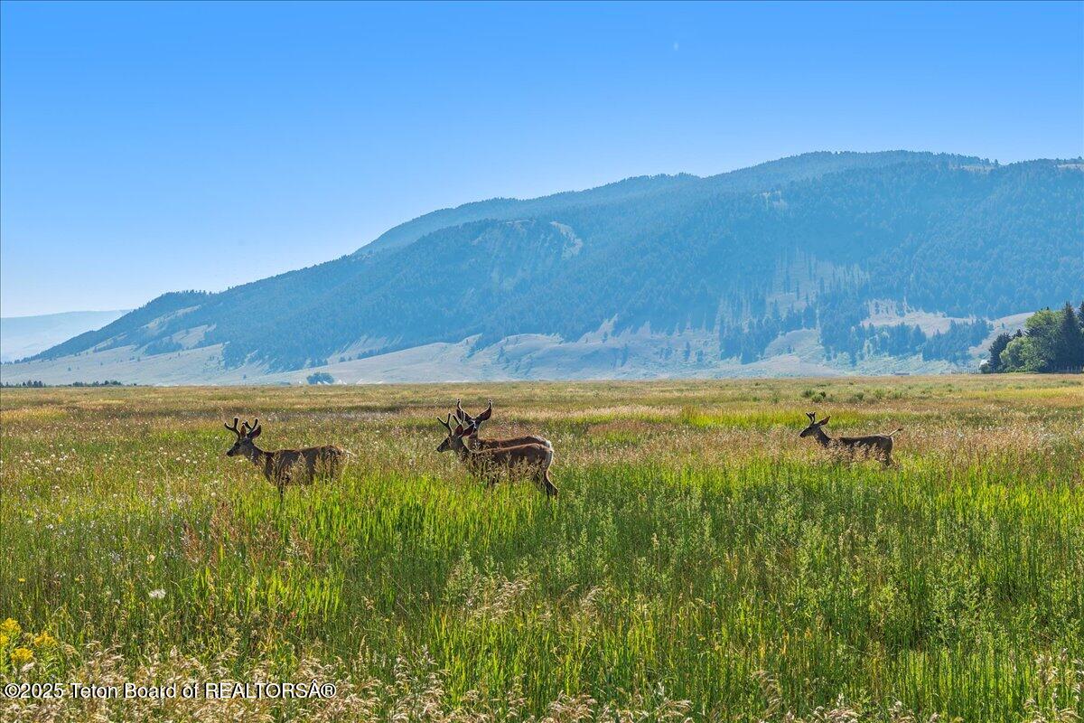 338 HIDDEN HOLLOW Drive