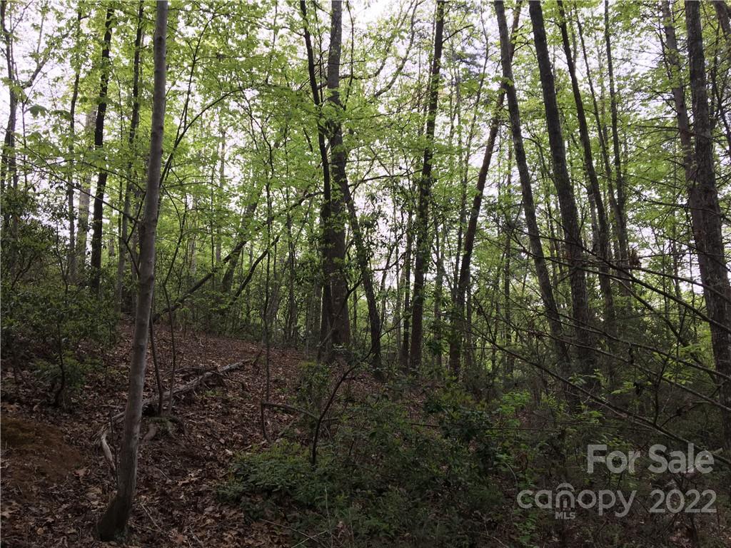 99999 Lake Wood Drive Unit: 82