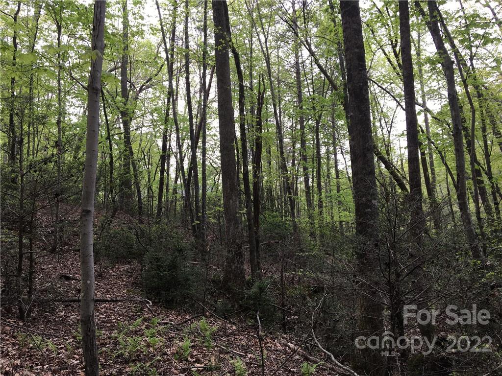 99999 Lake Wood Drive Unit: 82