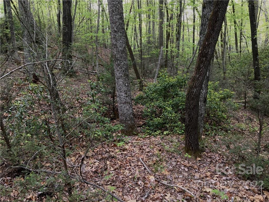 99999 Lake Wood Drive Unit: 82