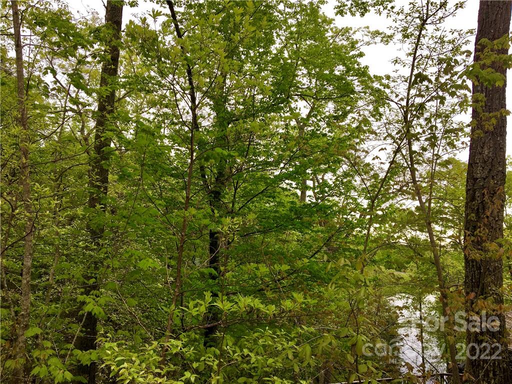 99999 Lake Wood Drive Unit: 82