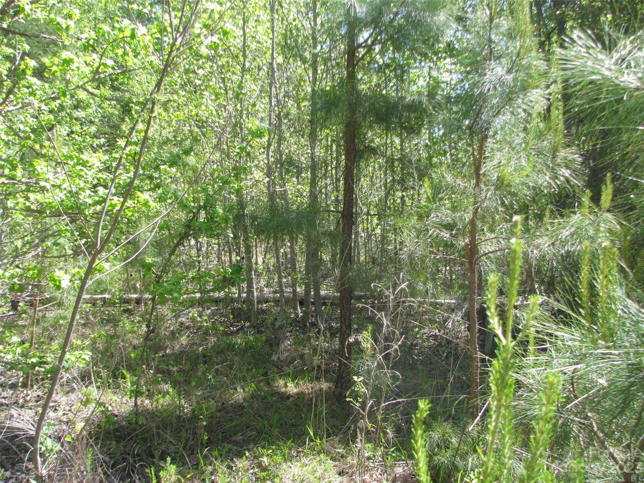 3.25 AC Pilgrim Road