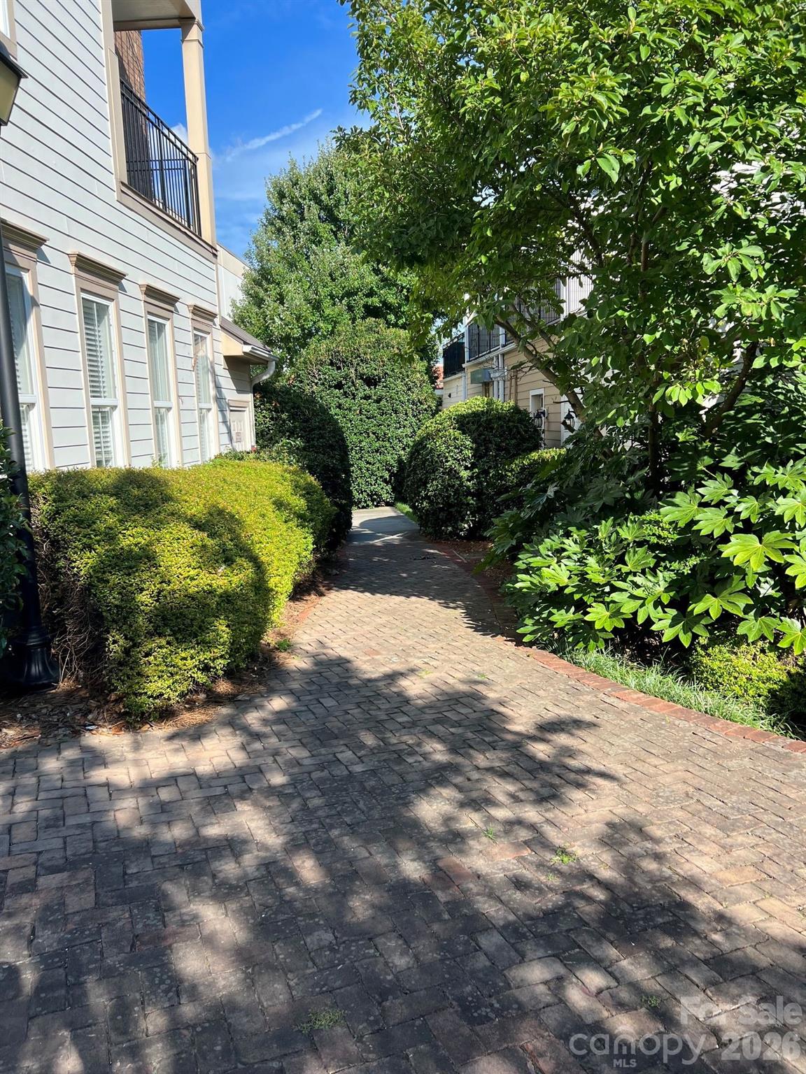 Brick walkway bordered by shrubs and trees between light-sided buildings.