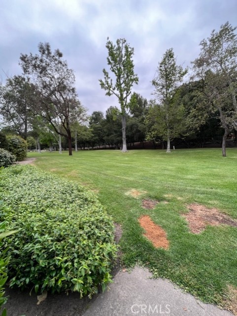 31601 #152B Via Conejo 152