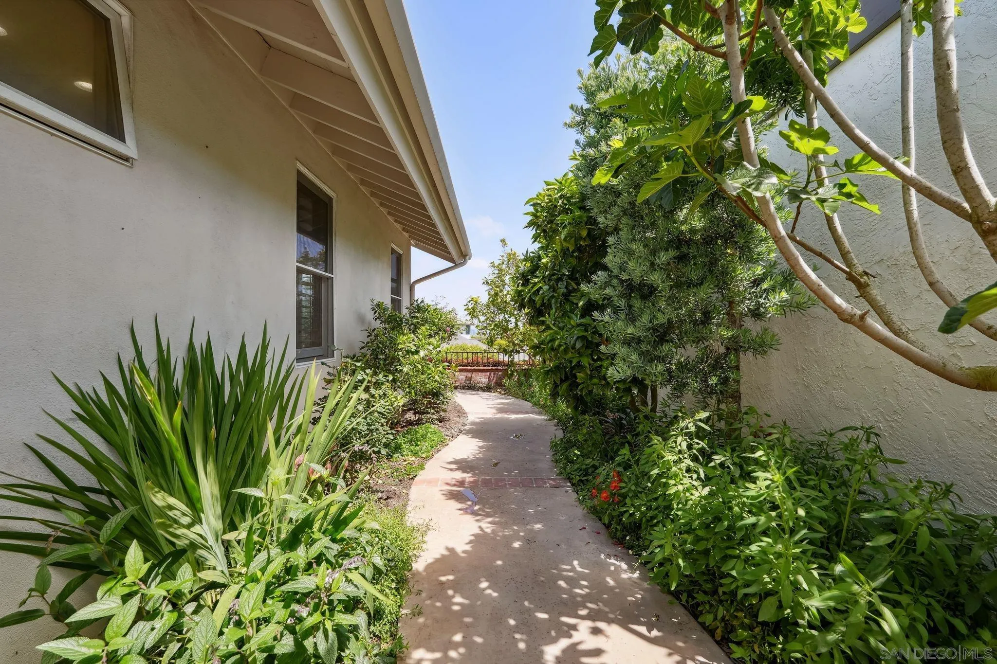 6515 Caminito Northland