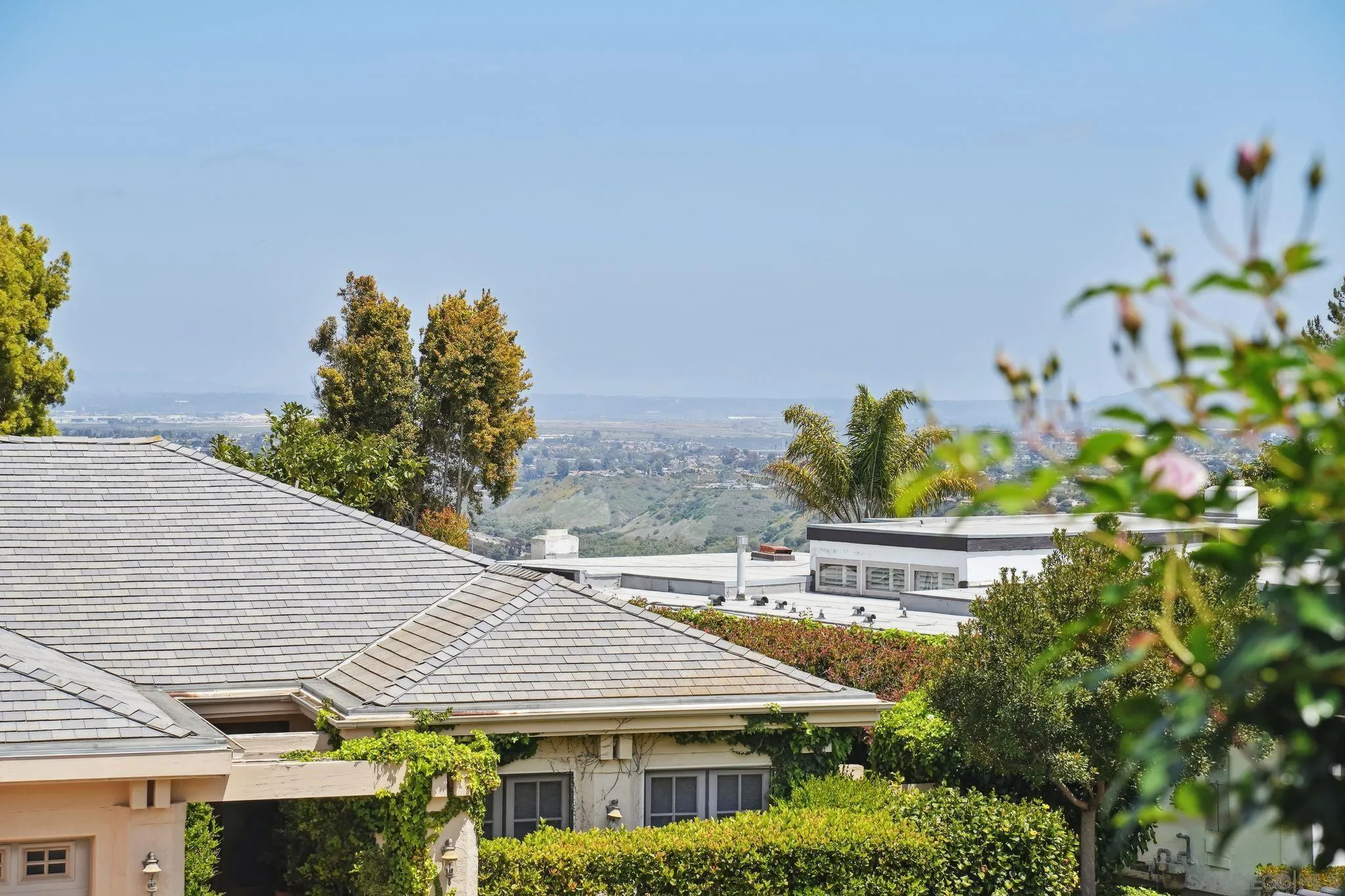 6515 Caminito Northland