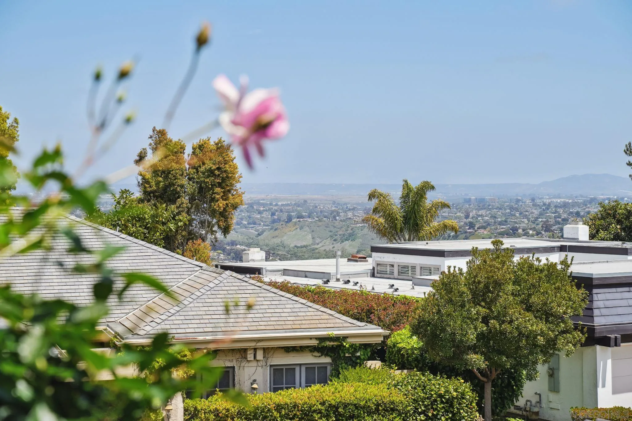 6515 Caminito Northland