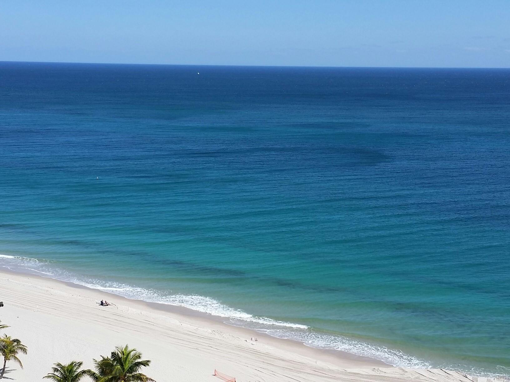 3900 Galt Ocean Dr 412