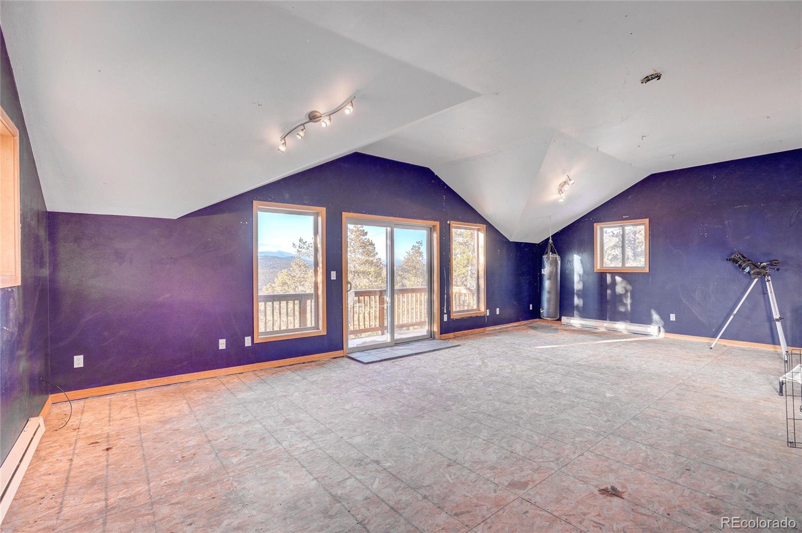 123 Black Bear Trail