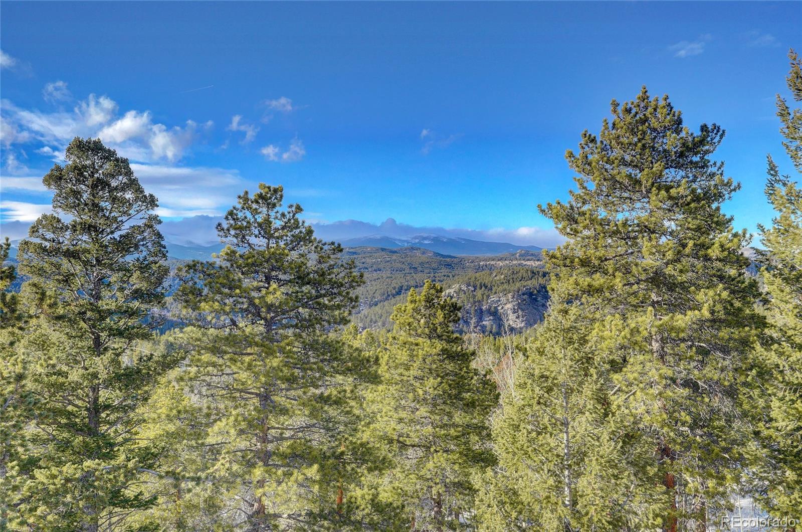 123 Black Bear Trail