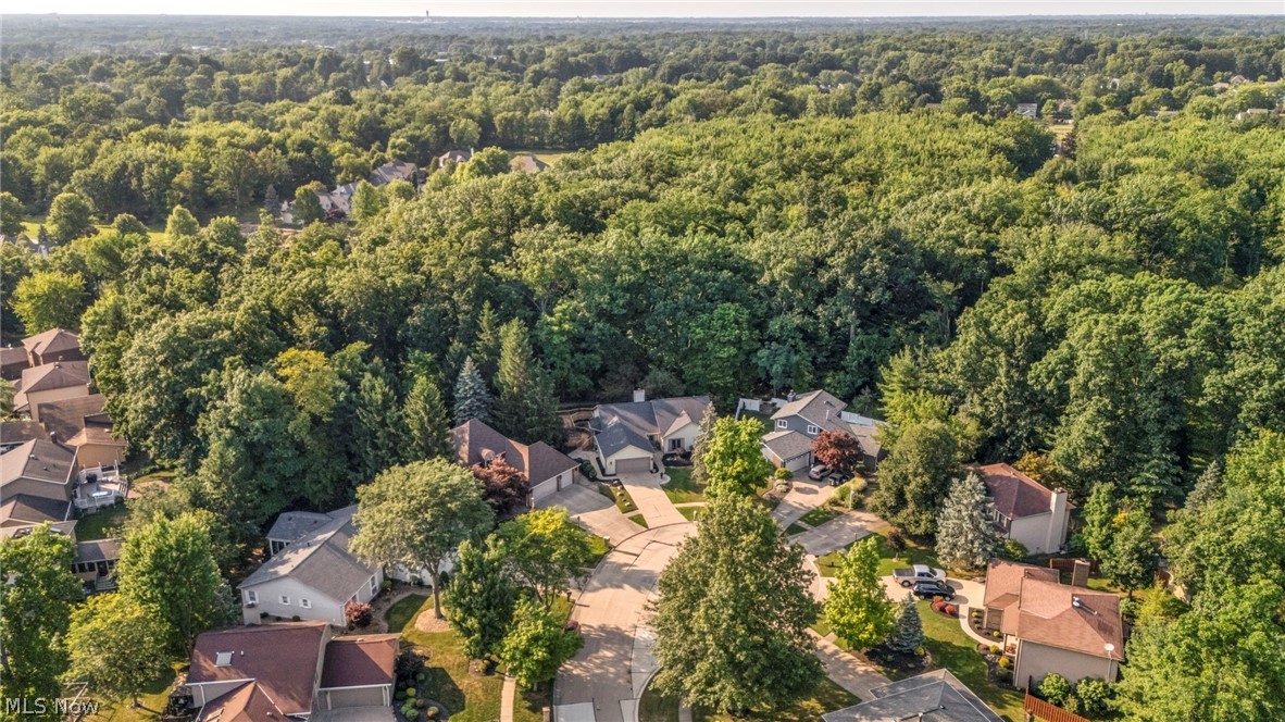 9788 Forestview Drive