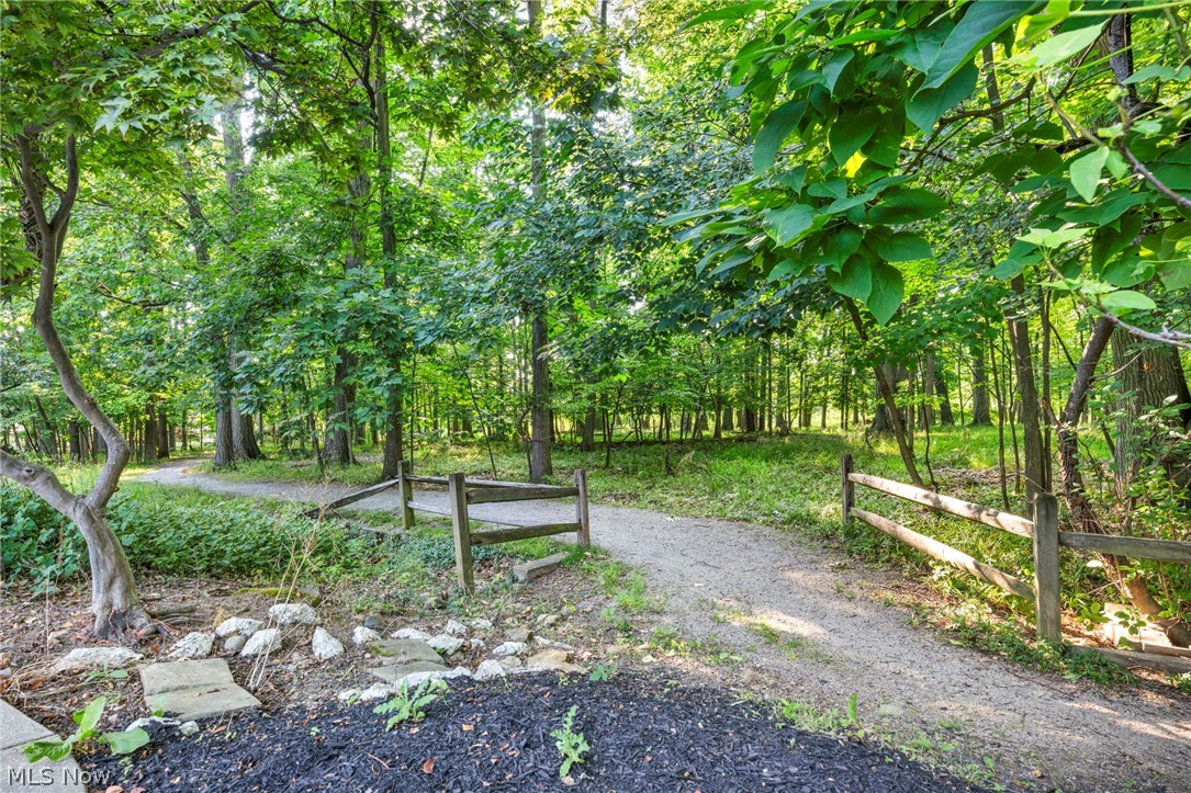 9788 Forestview Drive