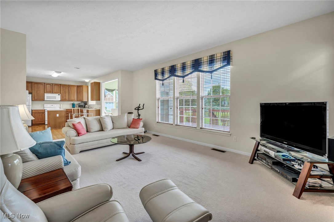 1028 Woodfield Lane