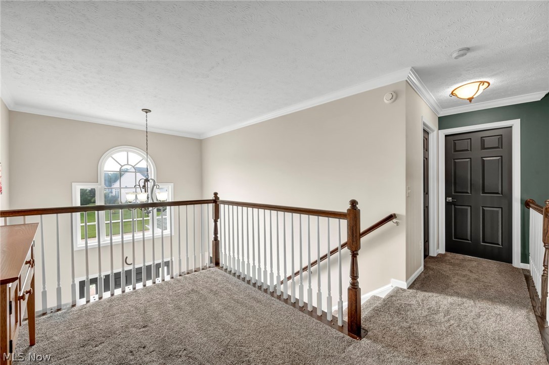 4331 Belmont Court