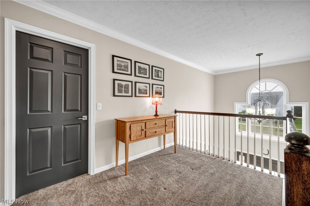 4331 Belmont Court