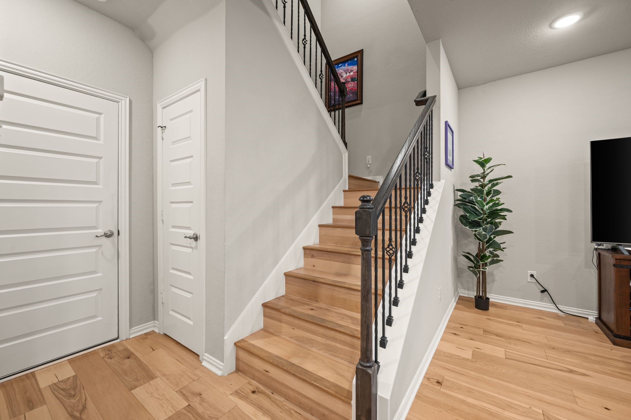 1244 Alamo Drive