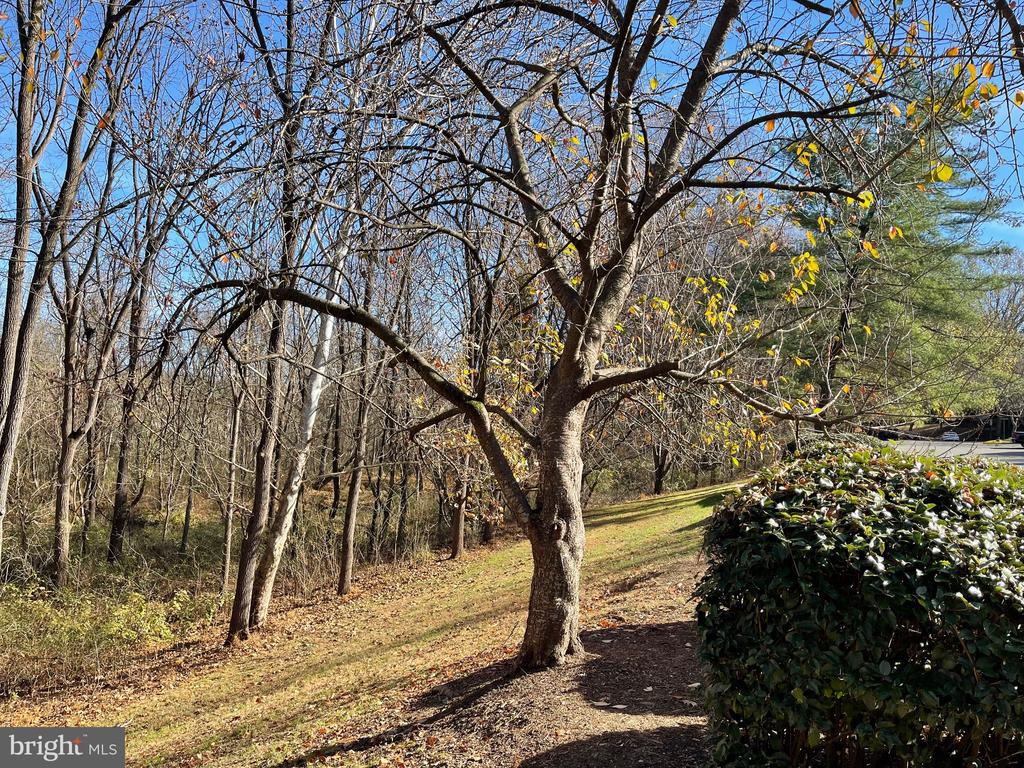 19 WINDBROOKE CIRCLE 19