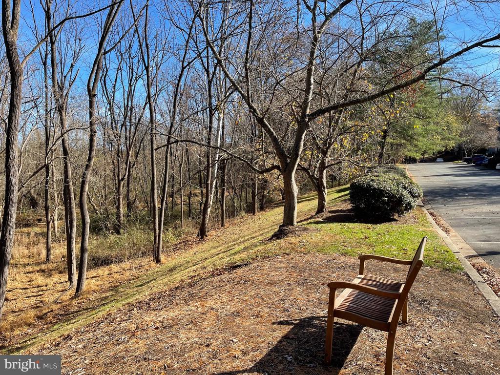 19 WINDBROOKE CIRCLE 19