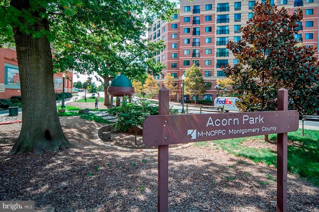 8045 NEWELL STREET 504