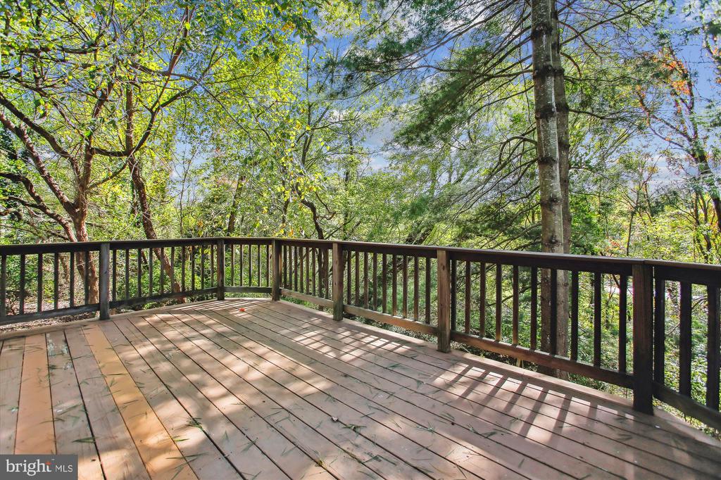 3701 HUNTLEY MEADOWS LANE