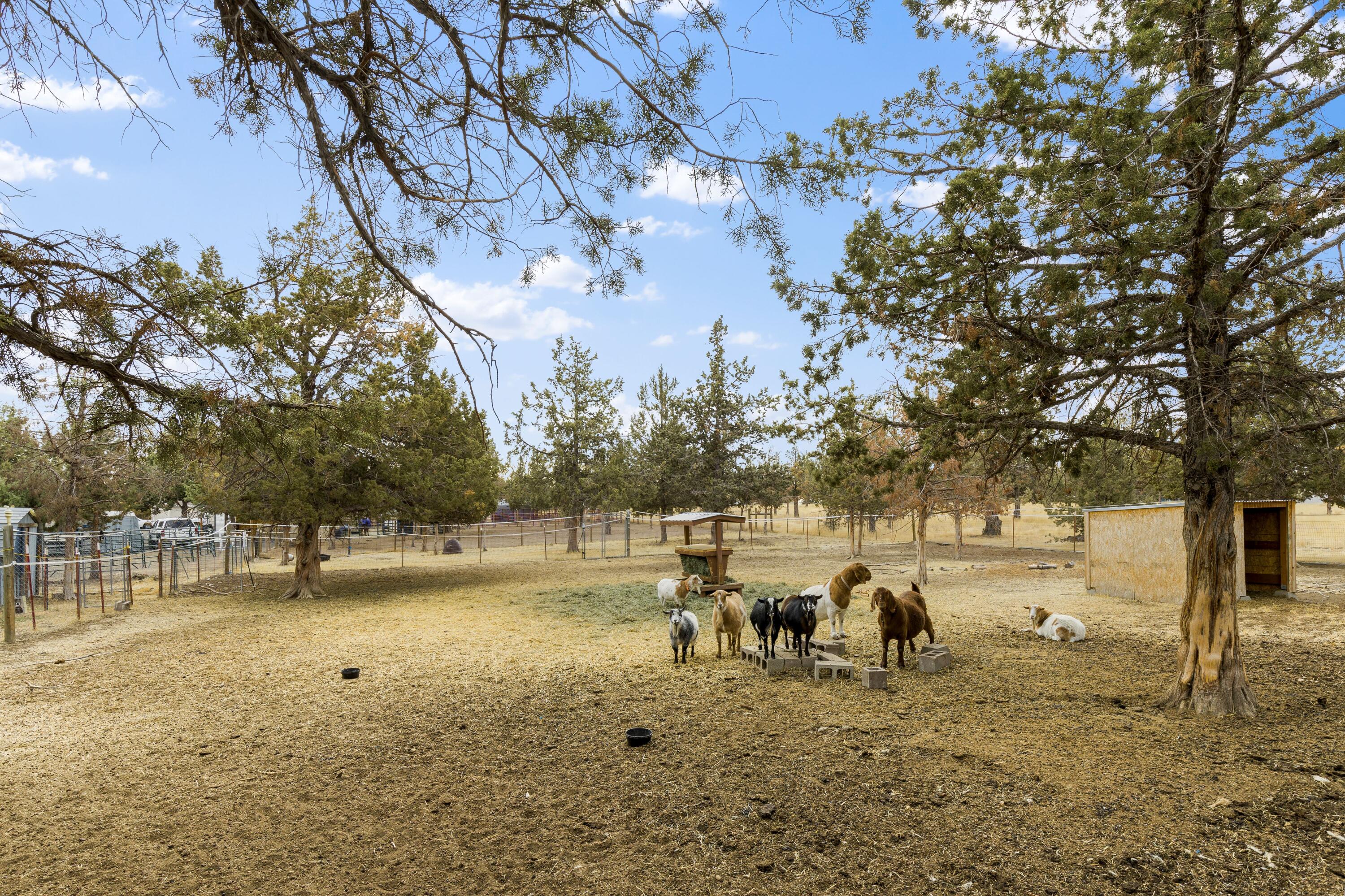 12882 SW Wheatgrass Loop S