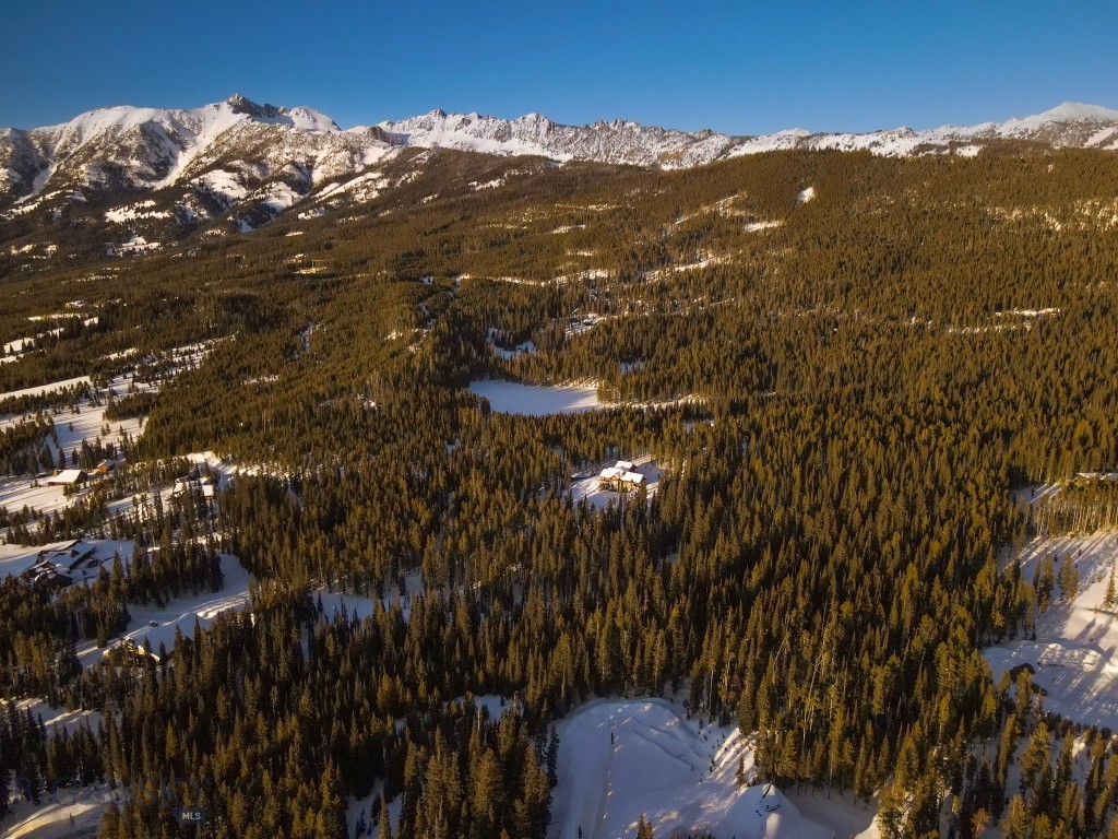 TBD Speaking Eagle 168A