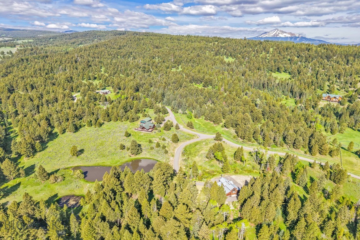 238 Great Gray Hollow