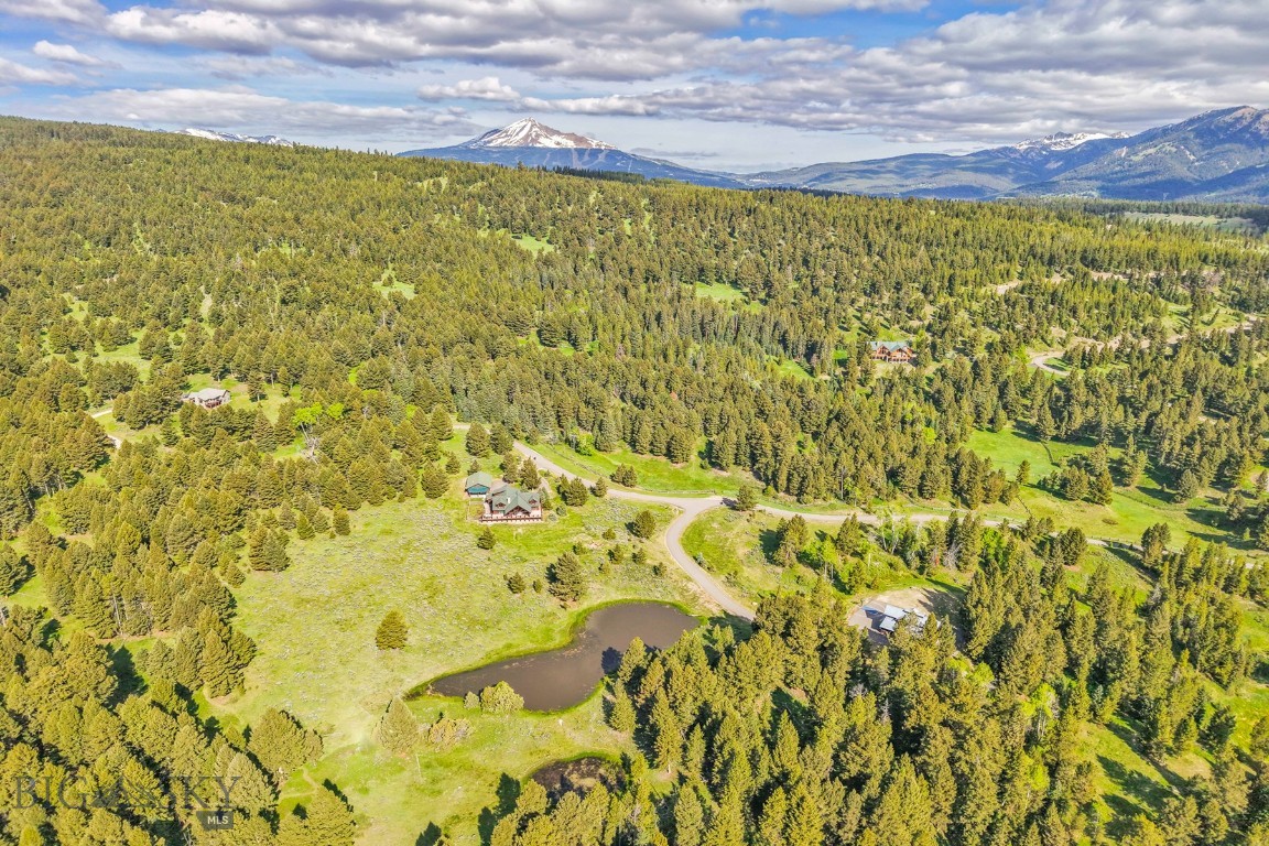 238 Great Gray Hollow