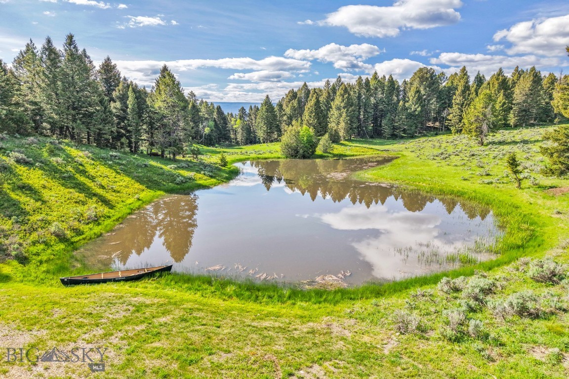 238 Great Gray Hollow