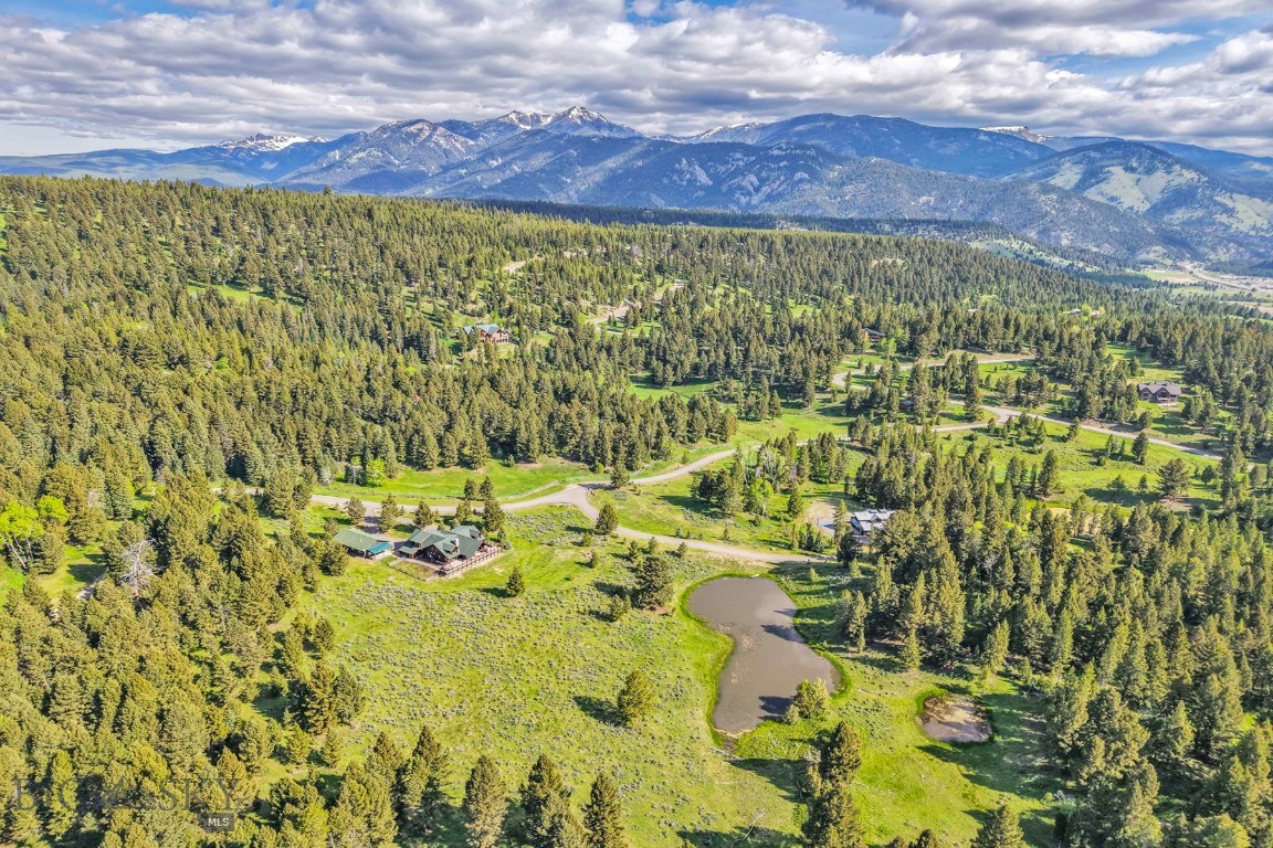 238 Great Gray Hollow