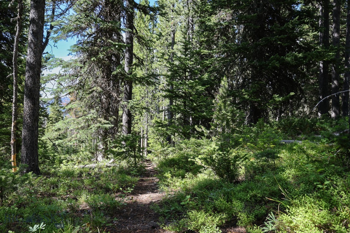 TBD Beehive Basin Road